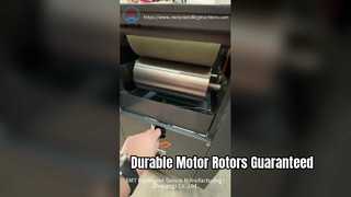 Dayanıklılık için Motor Rotor Emprenye Makinesi