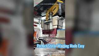 Motor Üretimi için Otomatik Dikey Stator Sarma Makinesi